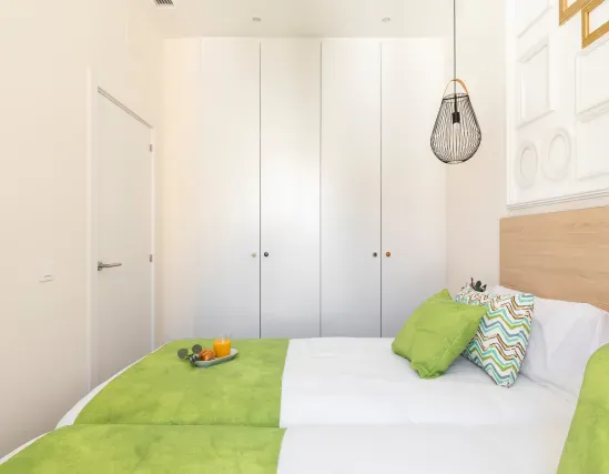 1 bedroom apartment