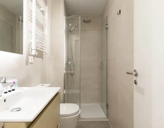 1 bedroom apartment