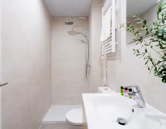 1 bedroom apartment