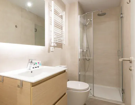 1 bedroom apartment