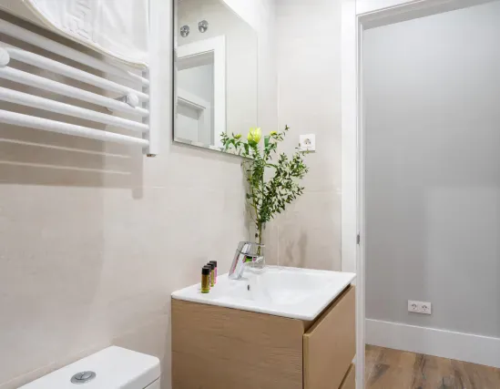 1 bedroom apartment