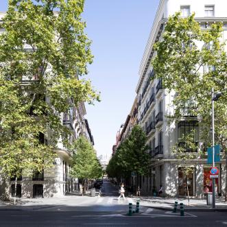 Galería de imágenes